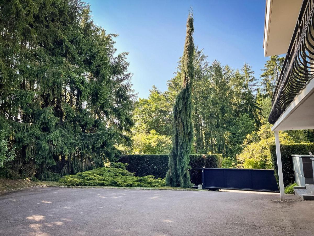 Villa 250M2 Avec Piscine Chauffee & Spa & Kota-Grill & Sauna Saint-Dié-des-Vosges Kültér fotó